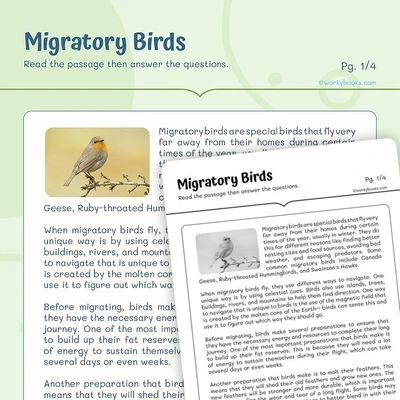 Informational Text —Migratory Birds - worksheet educational content