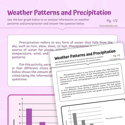 Interpret Visuals - Weather Patterns and Precipitation - worksheet educational content