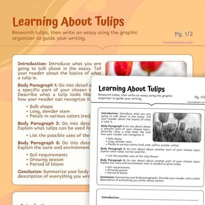 Learning About Tulips - worksheet educational content