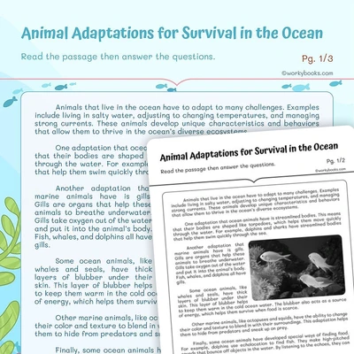Ocean Animal Adaptations - worksheet educational content