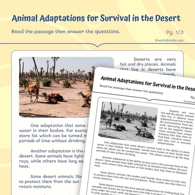 Author's Use of Reasons and Evidence - worksheet educational content