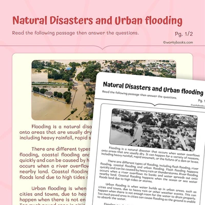 Natural Disasters and Urban flooding - worksheet educational content