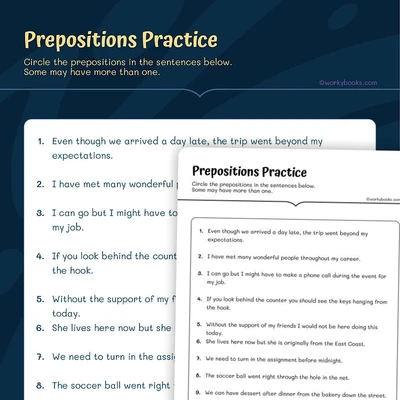 Preposition Practice - worksheet educational content