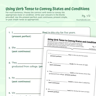 Using Verb Tense to Convey States and Conditions - worksheet educational content