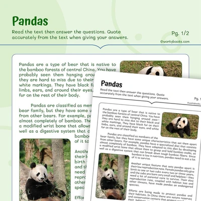 Pandas—Informational Text - worksheet educational content