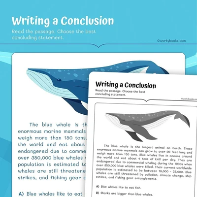 Writing a Conclusion - worksheet educational content