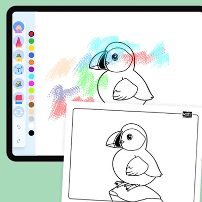 Puffin Artic Animal - coloring educational content