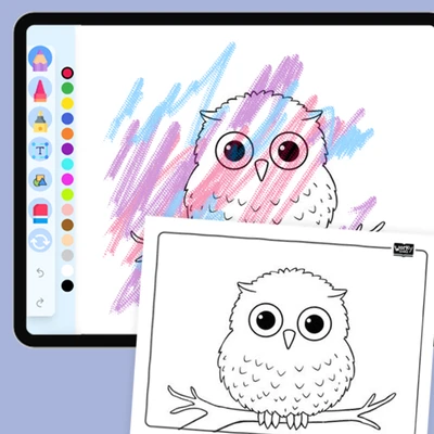 Artic Animal Snowy Owl - coloring educational content