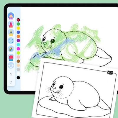 Artic Animal Ringed Seal - coloring educational content