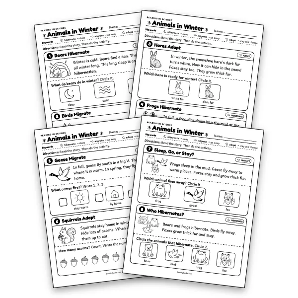 Animals in Winter Picture Reading Comprehension  - worksheet educational content