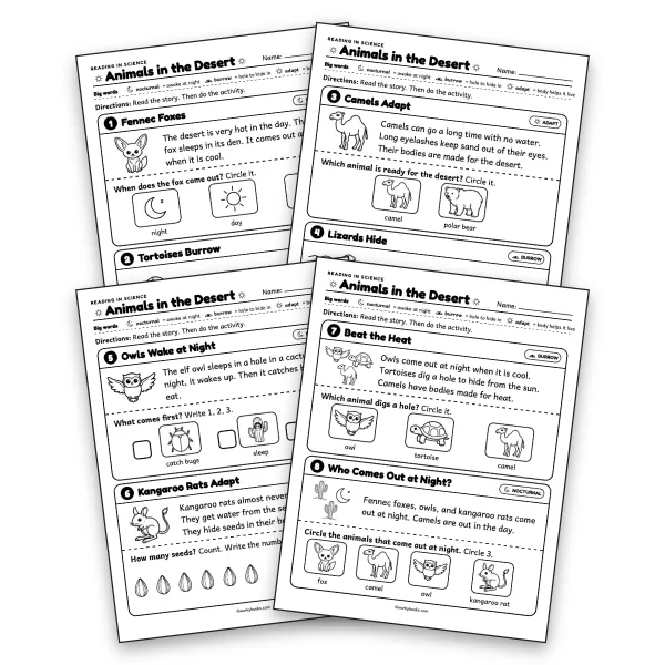 Animals in the Desert Picture Reading Comprehsion  - worksheet educational content