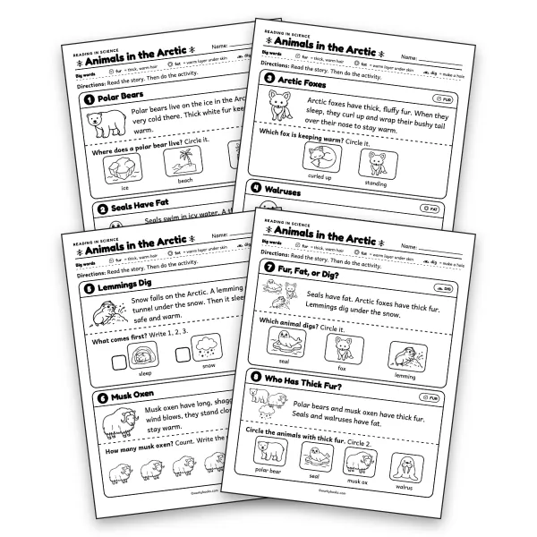 Animals in the Arctic Picture Reading Comprehension Cards - worksheet educational content