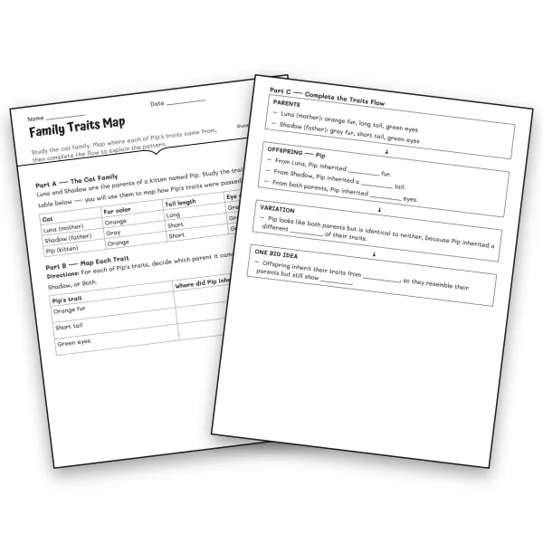 Family Traits Map - worksheet educational content