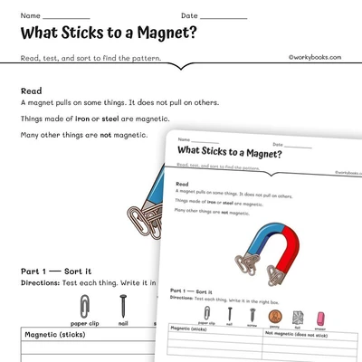 What Sticks to a Magnet? - worksheet educational content