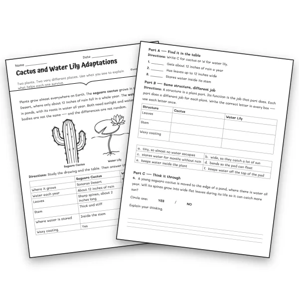 Cactus and Water Lily Adaptations - worksheet educational content
