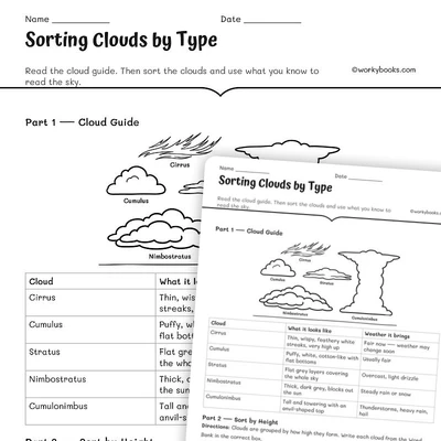 Sorting Clouds by Type - worksheet educational content