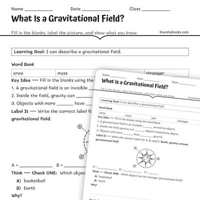 What Is a Gravitational Field - worksheet educational content