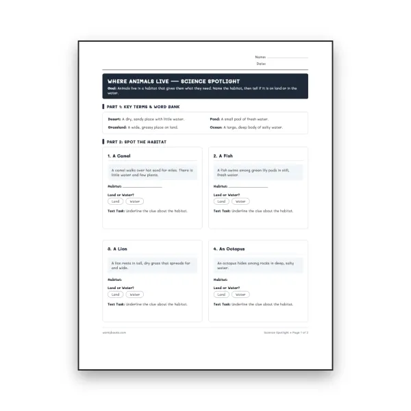 Where Animals Live - worksheet educational content