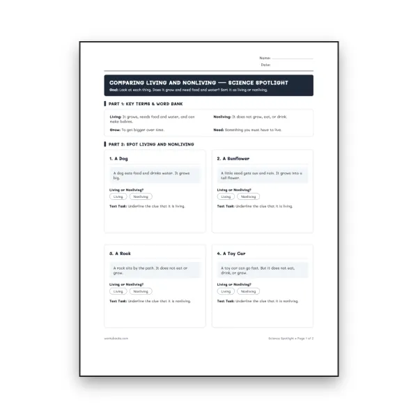 Comparing Living and Nonliving - worksheet educational content