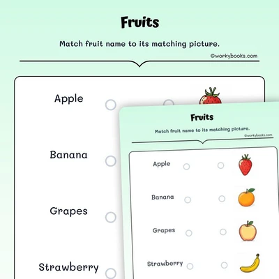 Fruit Matching Fun - worksheet educational content