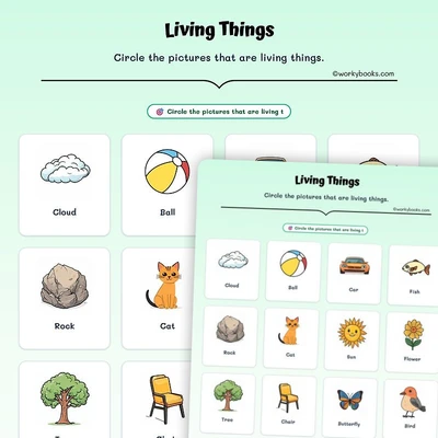Living Things - worksheet educational content