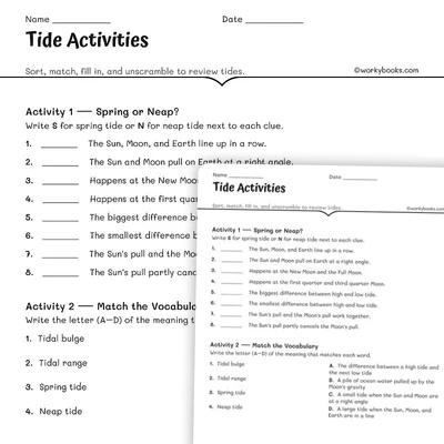 Tide Activities - worksheet educational content