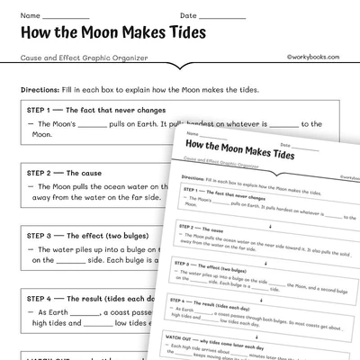 How the Moon Makes Tides - worksheet educational content