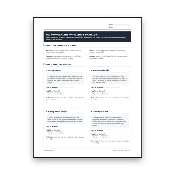 Microorganisms - worksheet educational content