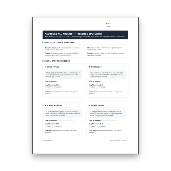 Microbes All Around - worksheet educational content