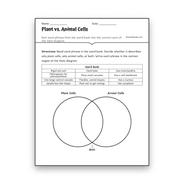 Plant vs. Animal Cells Venn Diagram  - worksheet educational content