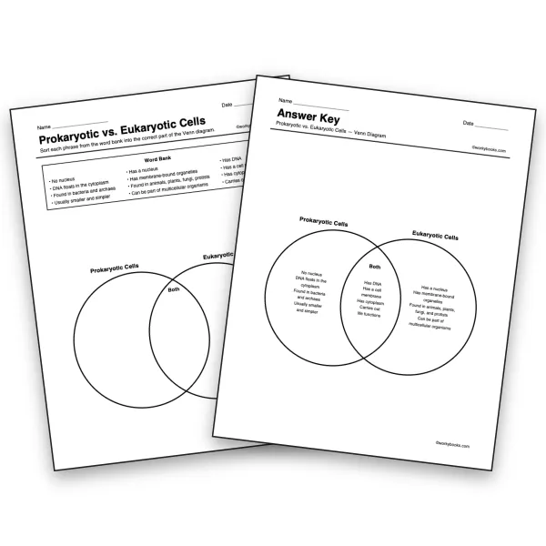Prokaryotic vs. Eukaryotic Cells Venn Diagram - worksheet educational content