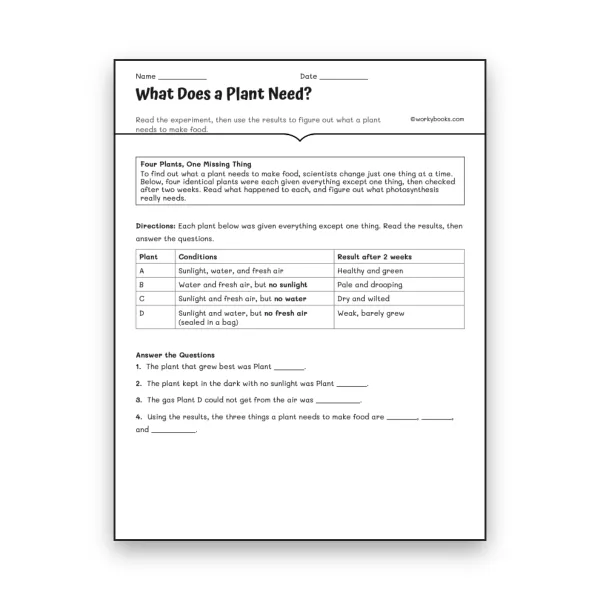 What Does a Plant Need? - worksheet educational content