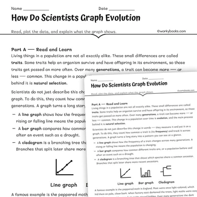 How Do Scientists Graph Evolution - worksheet educational content