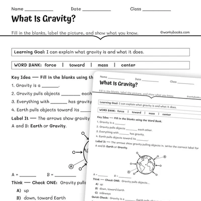 What Is Gravity- Activity - worksheet educational content
