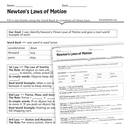 Newton's Laws: True or False Challenge - worksheet educational content