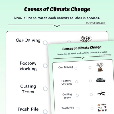 Causes of Climate Change - worksheet educational content