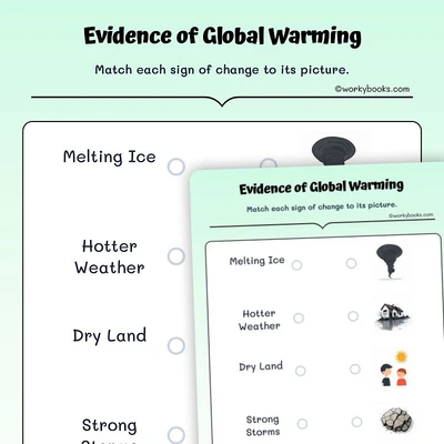 Evidence of Global Warming - worksheet educational content
