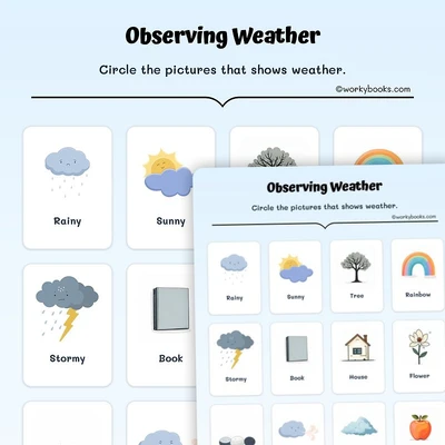 Weather-Watching - worksheet educational content