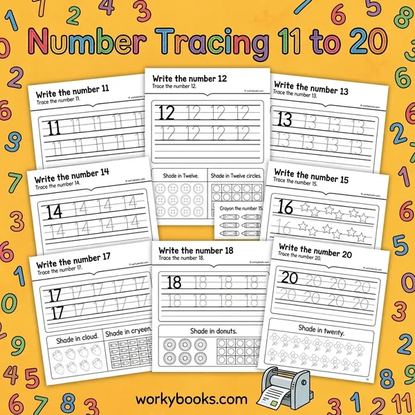 Number Tracing to 20 | Teen Numbers Worksheets | Counting Practice - bundle educational content