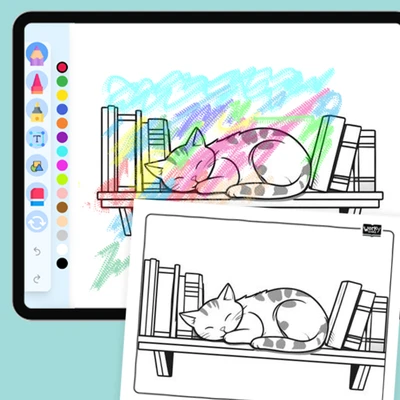 Cat sleeping on a bookshelf - coloring educational content