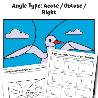 Angle Types Color by Number — Arctic Tern - worksheet educational content