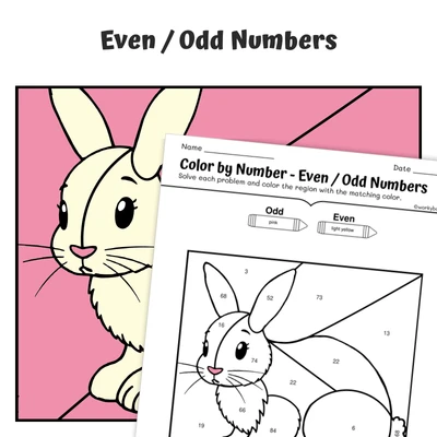 Even & Odd Color by Number — Artic Hare - worksheet educational content