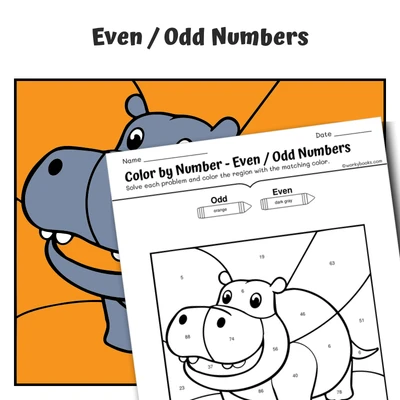 Even & Odd Color by Number — Zoo Animal Hippopotamus - worksheet educational content