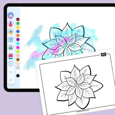Poinsettia flower - coloring educational content