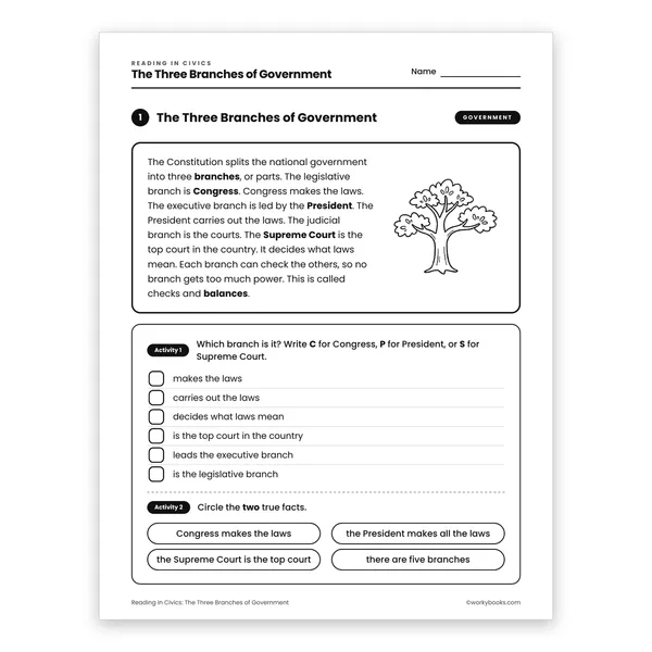 The Three Branches of Government worksheet for grade 3