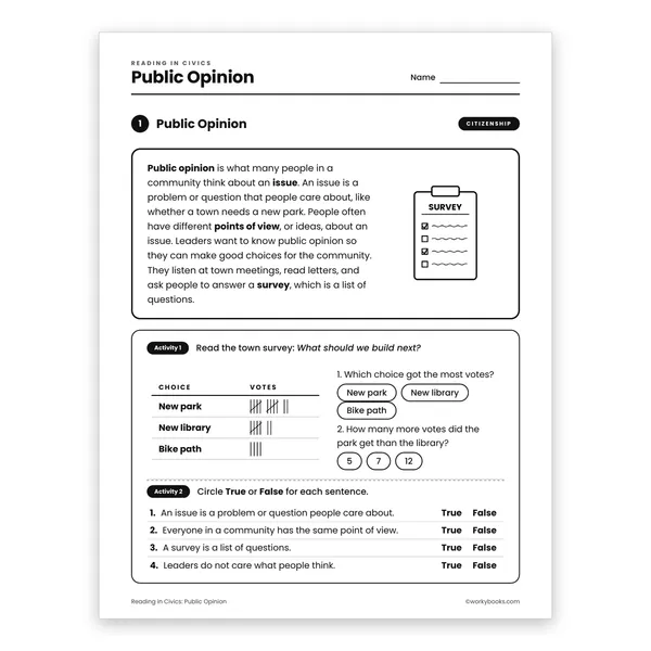 Public Opinion worksheet for grade 3