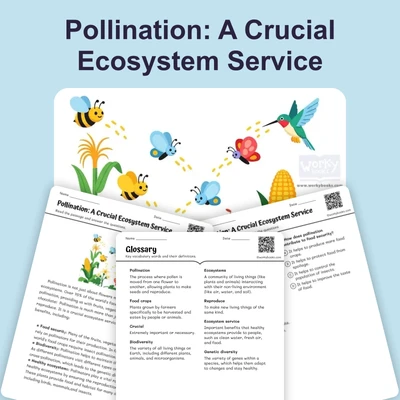 Pollination: A Crucial Ecosystem Service - reading educational content