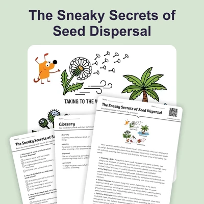 Seed Dispersal: How Plants Travel - reading educational content
