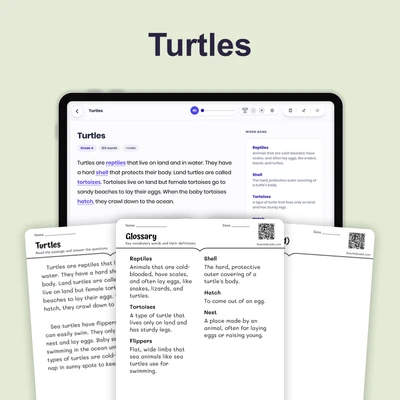 Turtles - reading educational content