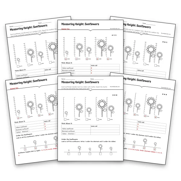 Measuring Height: Sunflowers - worksheet educational content
